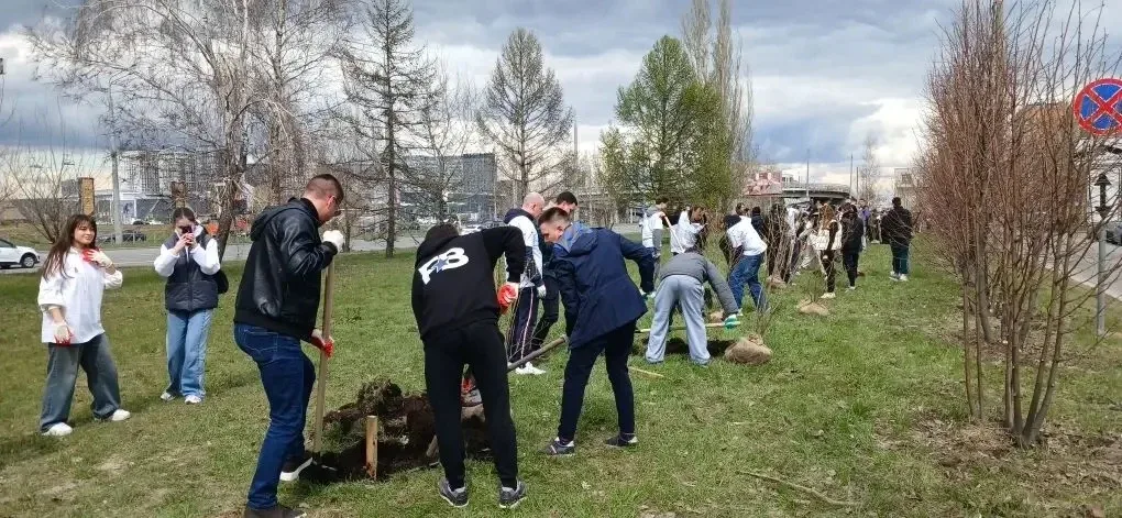 Утро началось с доброго дела и 25 новых кустов сирени🌸✨  На марафон «Сирень Победы» вышла в полном с