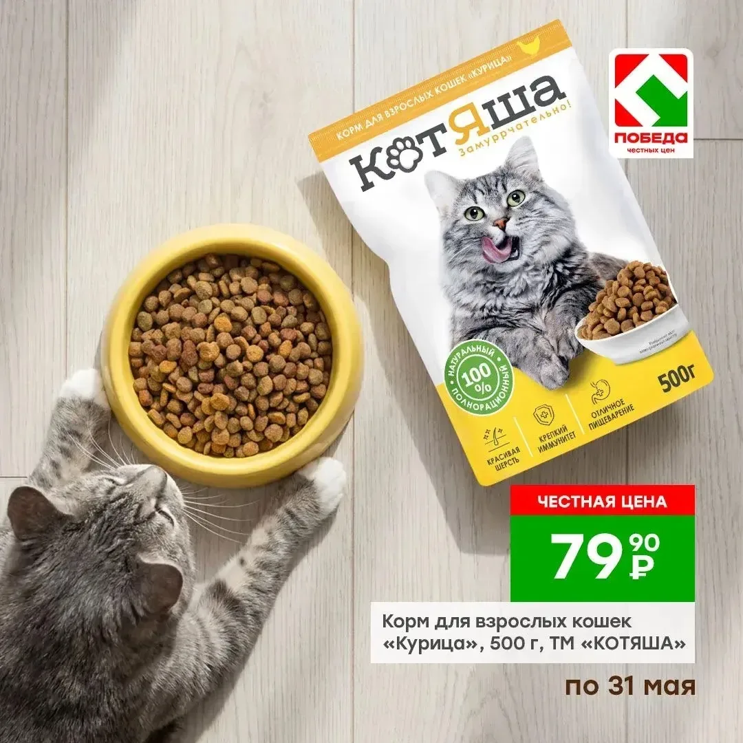 🐱 Когда кот доволен — это сразу видно 😏  Вкусно поел, устроился поудобнее…и жизнь удалась 😄  Остаётс
