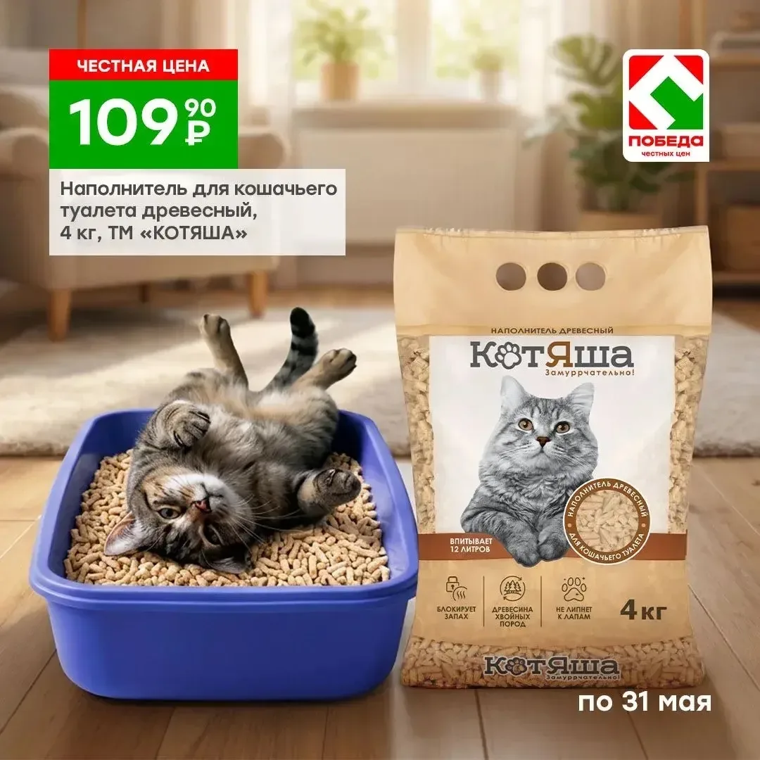 🐱 Когда кот доволен — это сразу видно 😏  Вкусно поел, устроился поудобнее…и жизнь удалась 😄  Остаётс