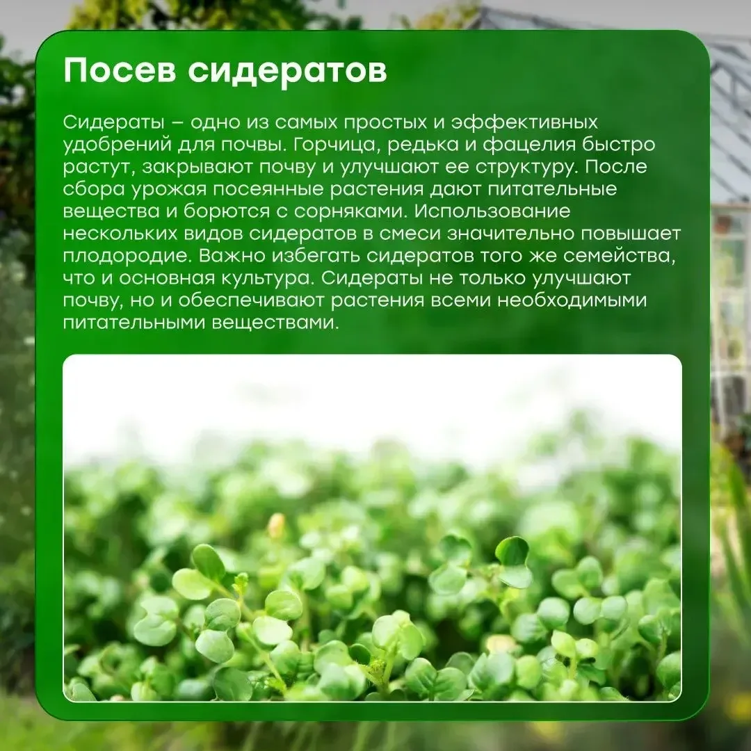 🌱 Дачный сезон — время полезных лайфхаков ✨ Собрали простые идеи органических удобрений, которые пом