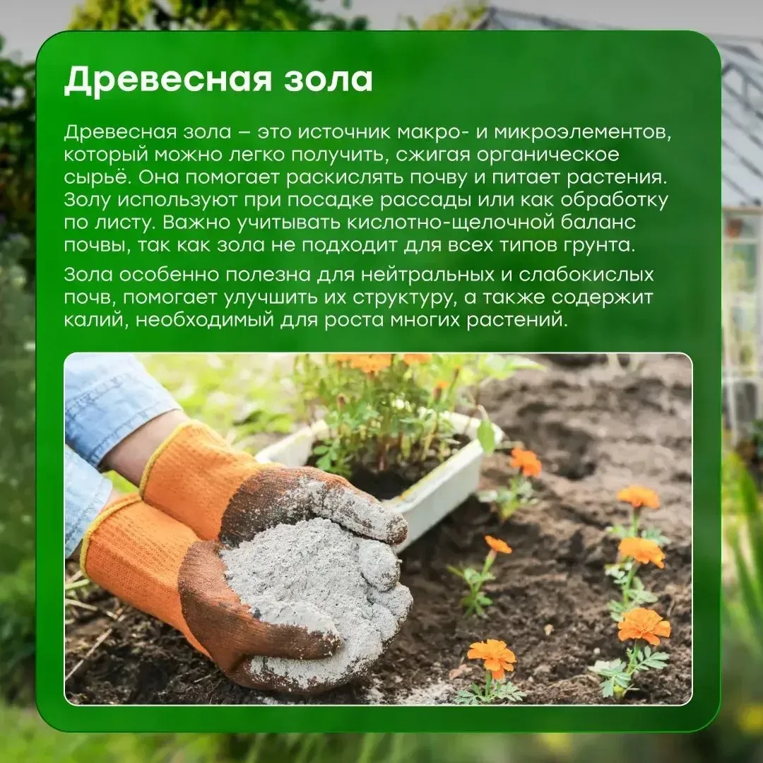 🌱 Дачный сезон — время полезных лайфхаков ✨ Собрали простые идеи органических удобрений, которые пом