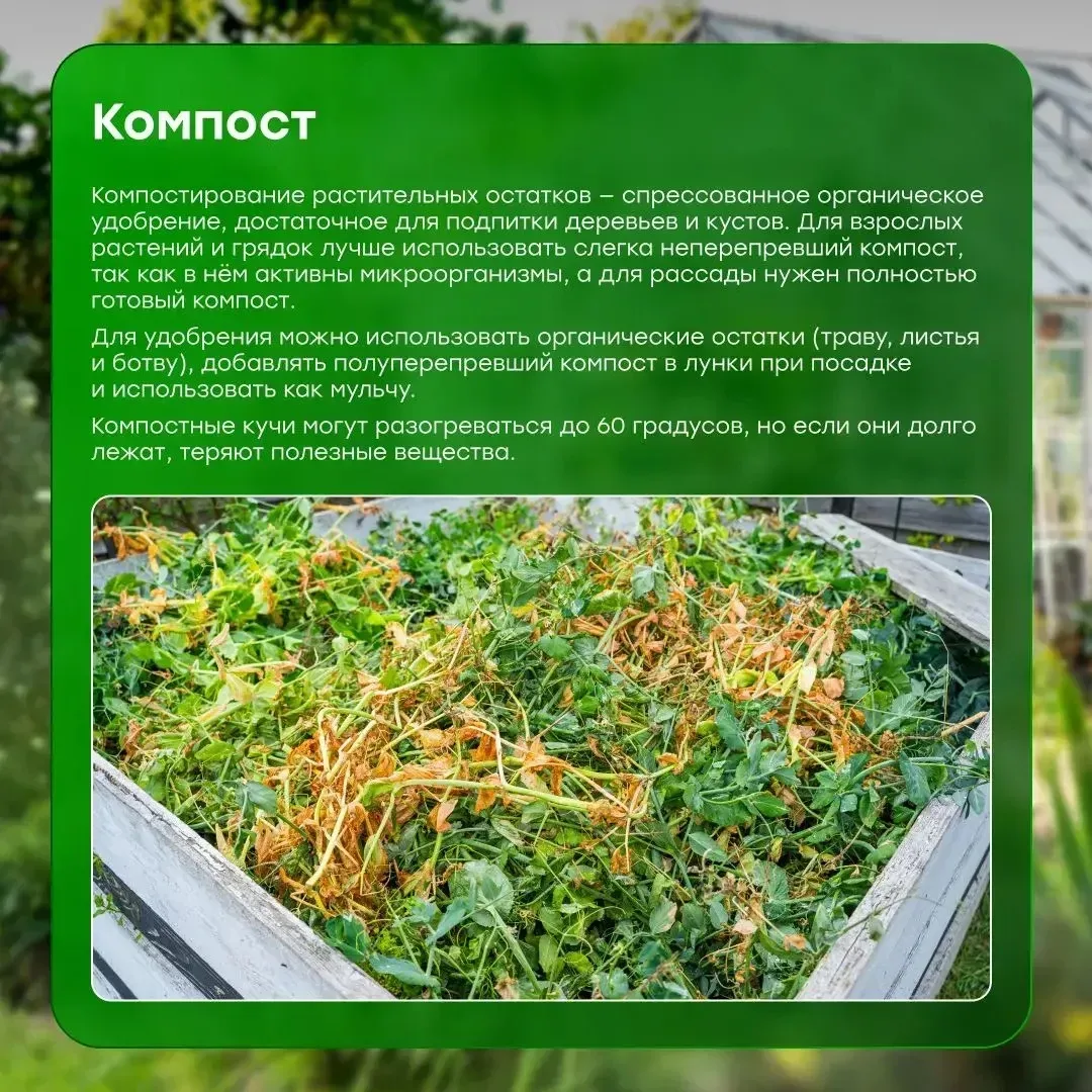 🌱 Дачный сезон — время полезных лайфхаков ✨ Собрали простые идеи органических удобрений, которые пом