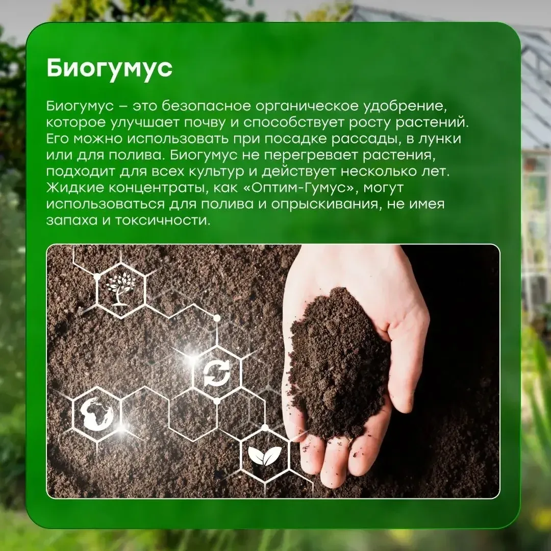 🌱 Дачный сезон — время полезных лайфхаков ✨ Собрали простые идеи органических удобрений, которые пом