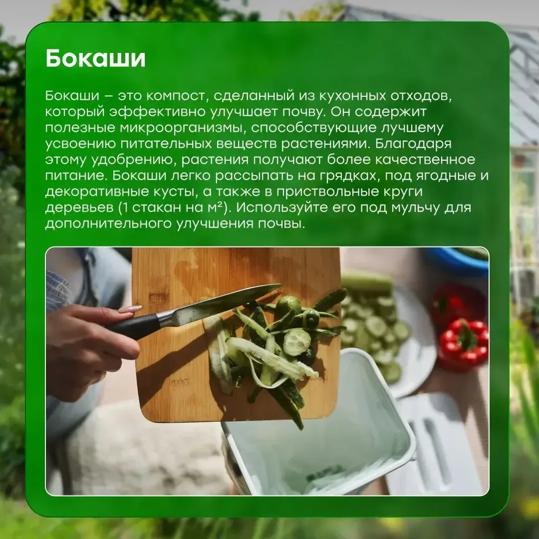 🌱 Дачный сезон — время полезных лайфхаков ✨ Собрали простые идеи органических удобрений, которые пом