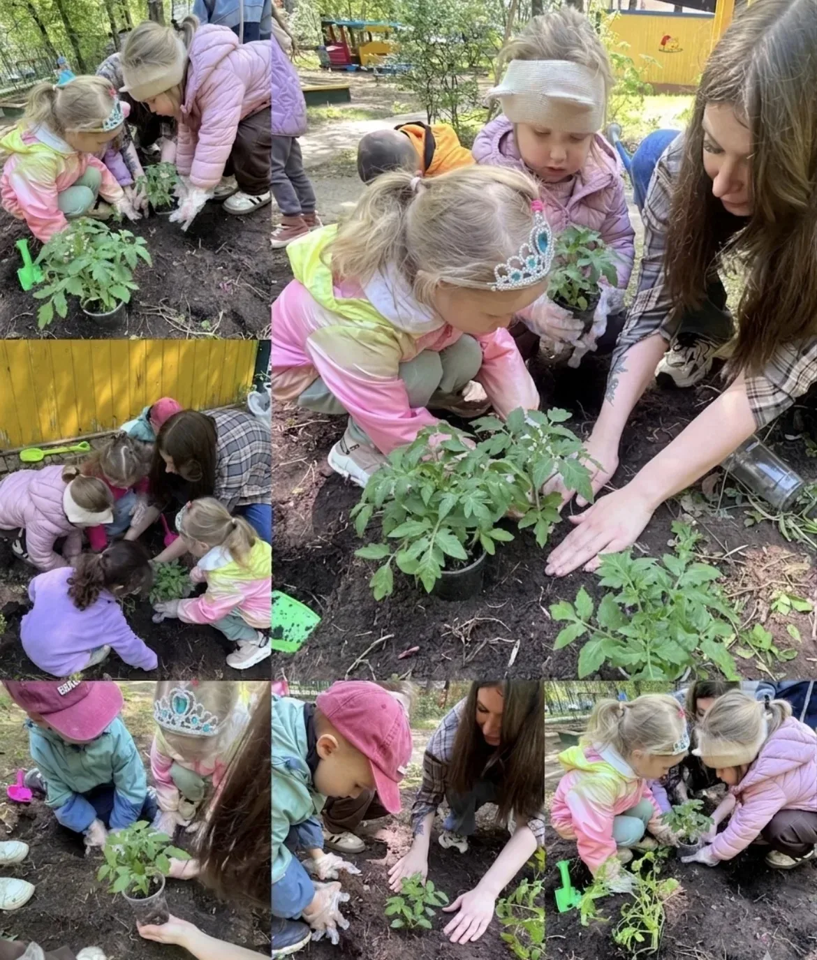 🌱 Большие огородники маленького роста: как младшая группа открыла сельскохозяйственный сезон!  Вы ду