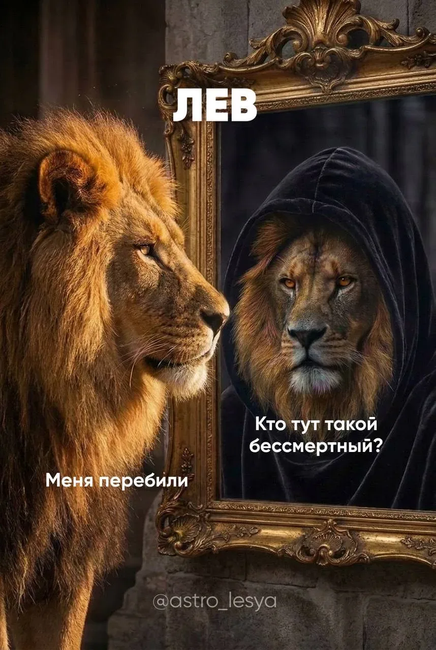 Львы, отмечайтесь  Астрология | Подпишись 👇🏻