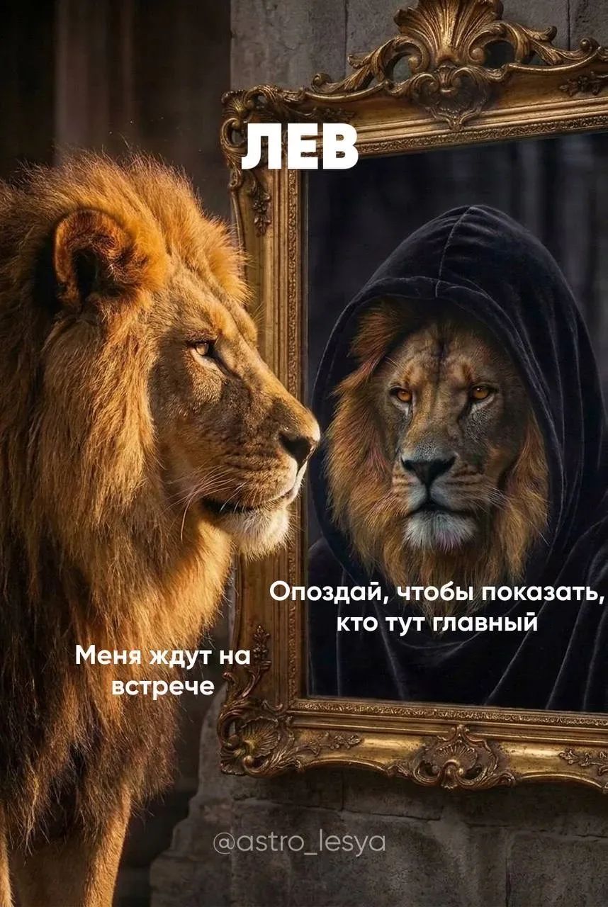 Львы, отмечайтесь  Астрология | Подпишись 👇🏻