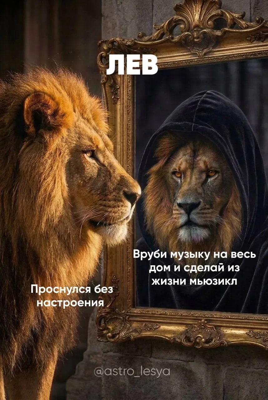 Львы, отмечайтесь  Астрология | Подпишись 👇🏻