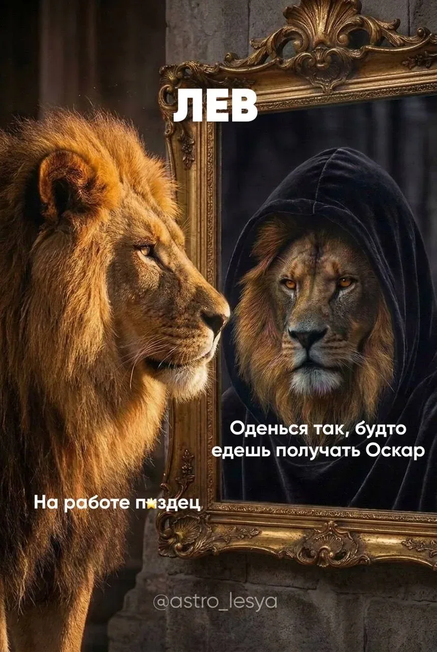Львы, отмечайтесь  Астрология | Подпишись 👇🏻