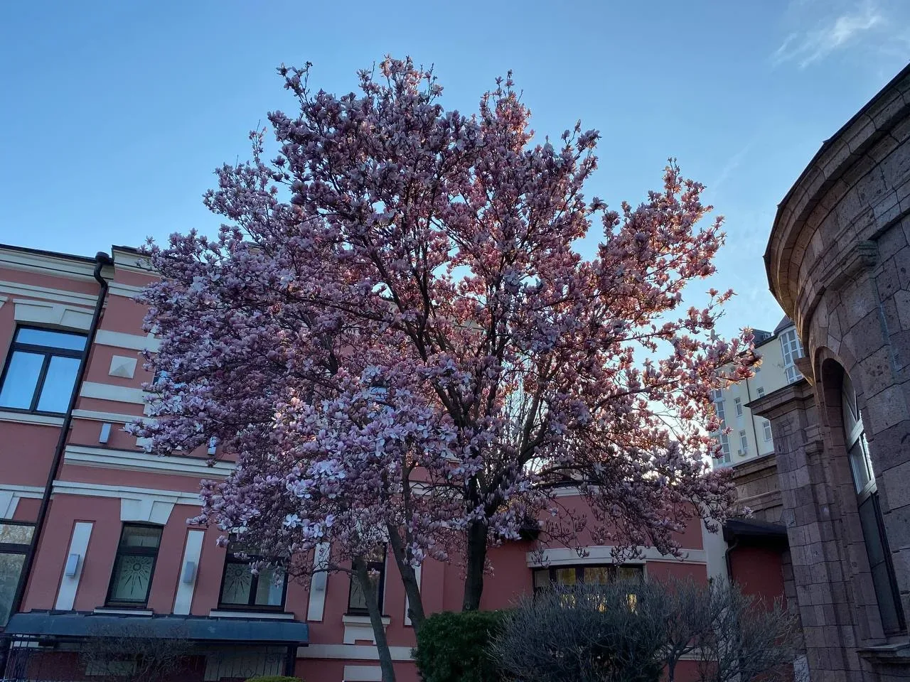 🌸🌷💐 Ждём возвращения тёплой и цветущей весны на КМВ  Фото прямиком из Ессентуков  Ставьте ❤️, если т