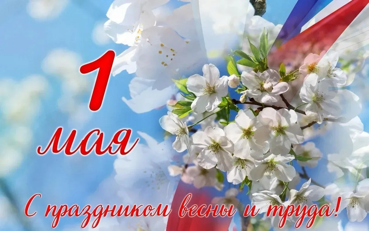 Коллектив МАОУ МО Динской район СОШ № 3 имени П.С. Нахимова  поддержал Первомайскую акцию профсоюзов