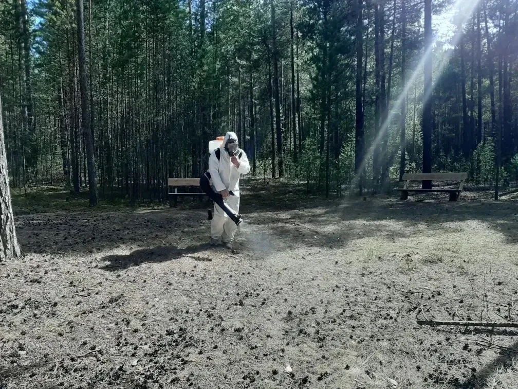 🦟 В Новой Игирме провели обработку общественных территорий от насекомых.  Специалисты обработали мес