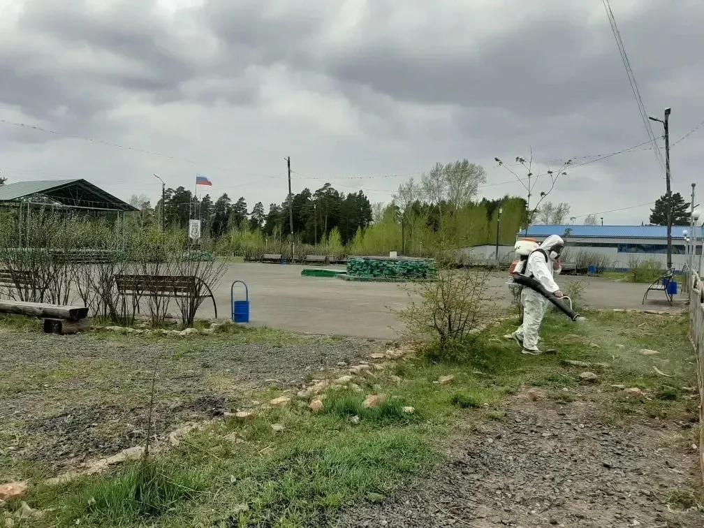 🦟 В Новой Игирме провели обработку общественных территорий от насекомых.  Специалисты обработали мес