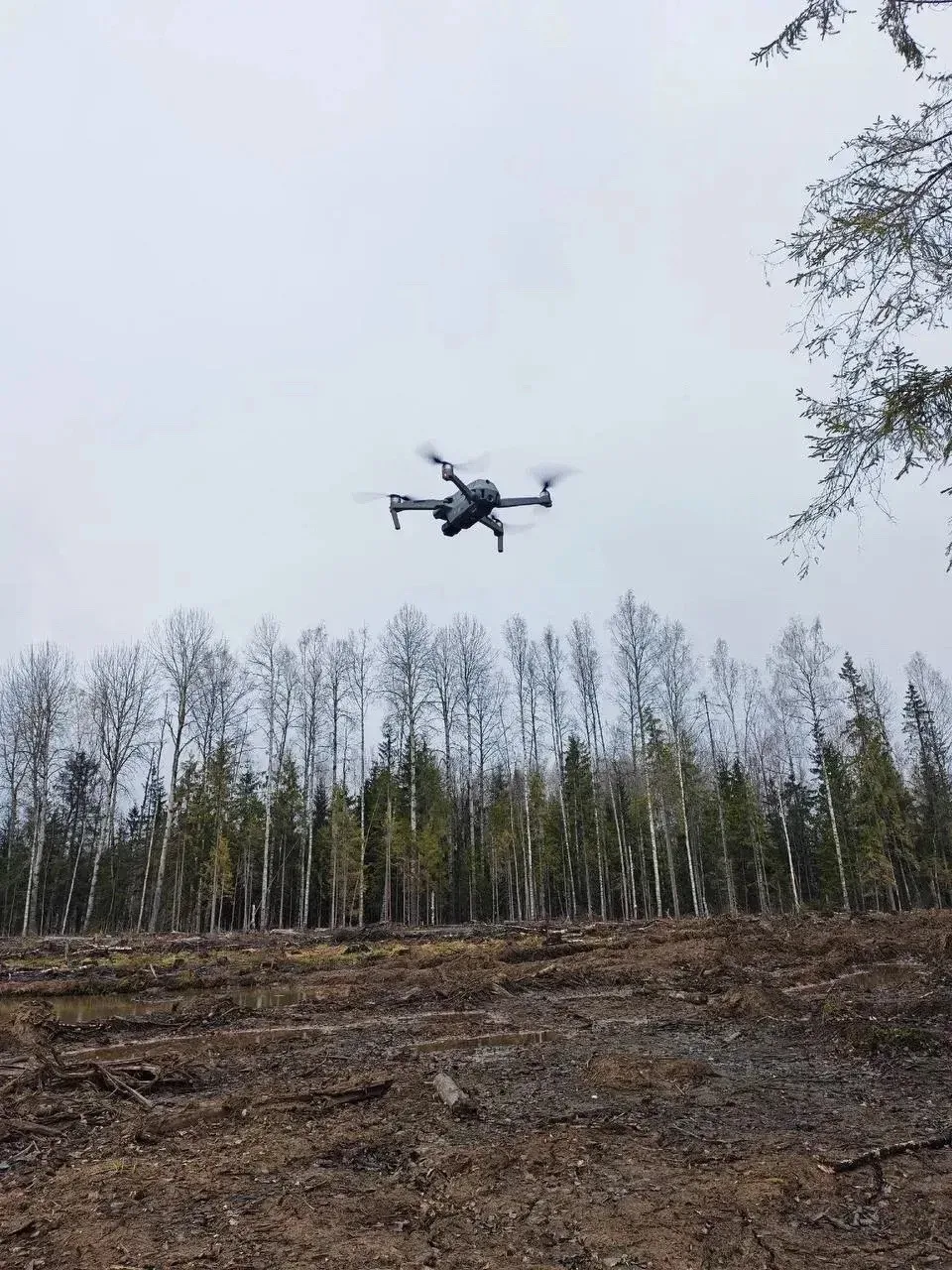 🚁 Новые беспилотники начали патрулировать леса в Грязовце  В Грязовце лесники провели первые запуски