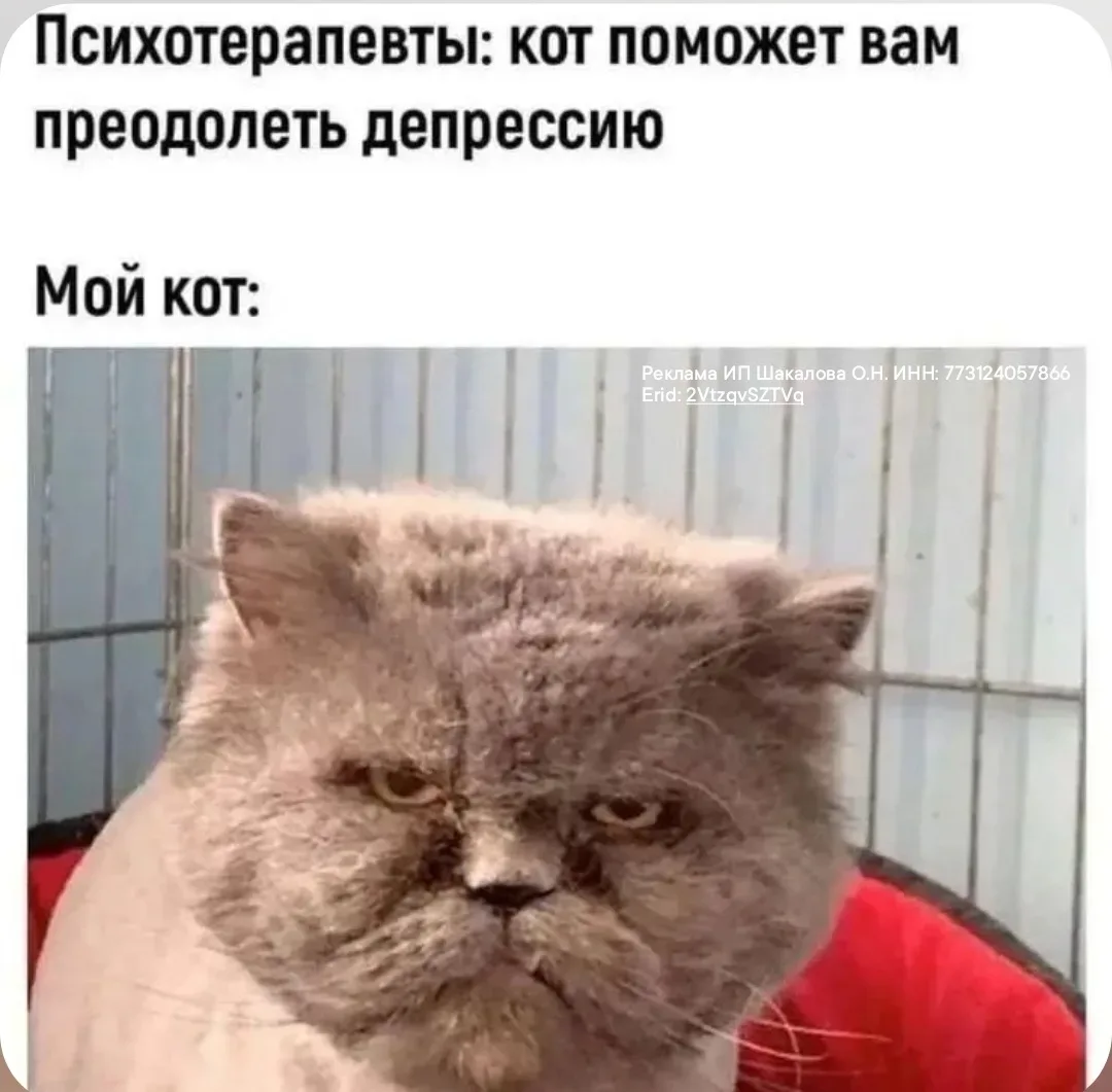 Вот не зря снимают аж целые сериалы про провокативную психологию! Не знаете что это? А это когда ник