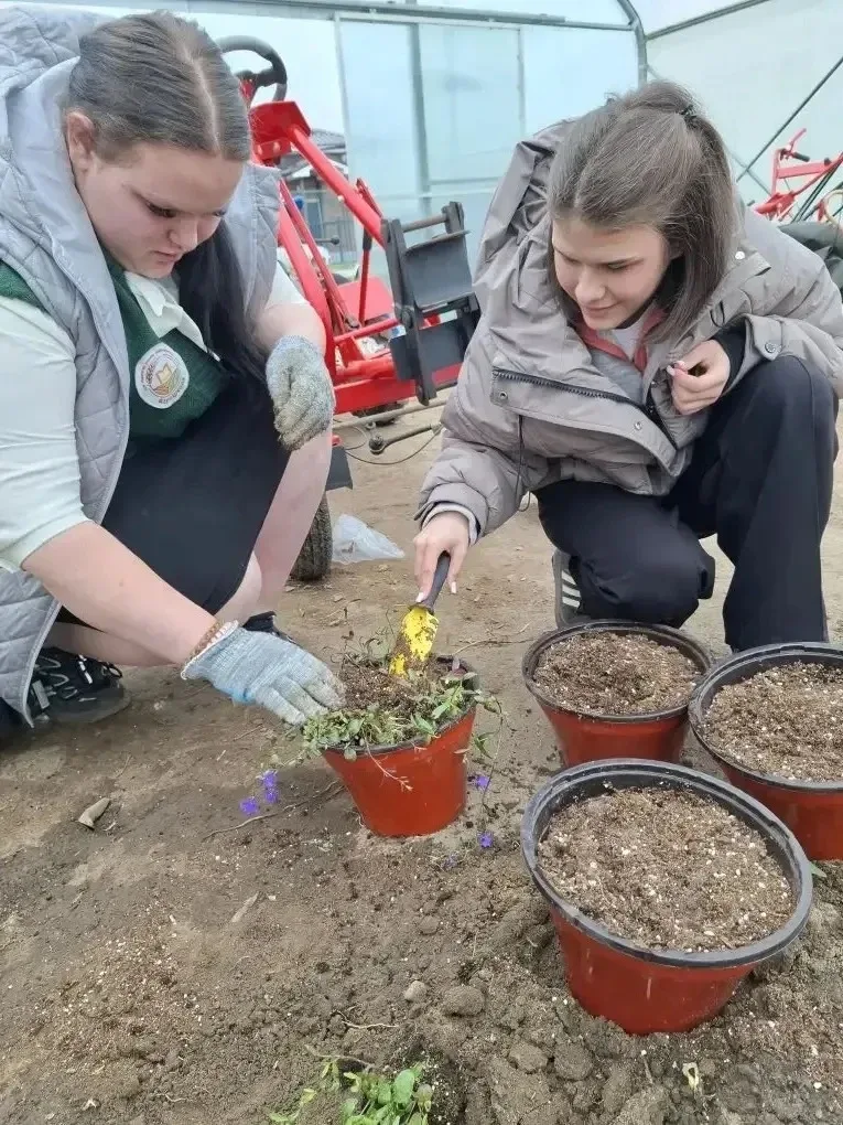 🌿 Весна в Марковской школе: время заботы о саде!  🪏В нашей школе полным ходом идут весенне-полевые р