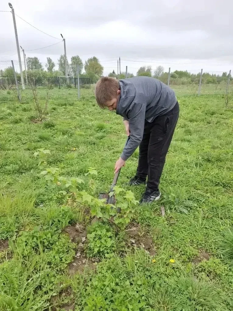 🌿 Весна в Марковской школе: время заботы о саде!  🪏В нашей школе полным ходом идут весенне-полевые р