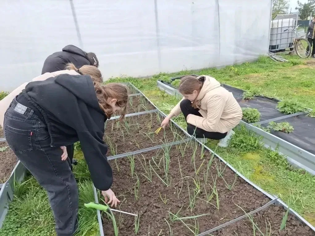 🌿 Весна в Марковской школе: время заботы о саде!  🪏В нашей школе полным ходом идут весенне-полевые р