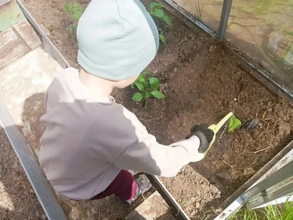 ☀️✨ Наши маленькие садоводы в деле! ✨☀️  Ребята из группы «Светлячок» 🧚совершили настоящее маленькое