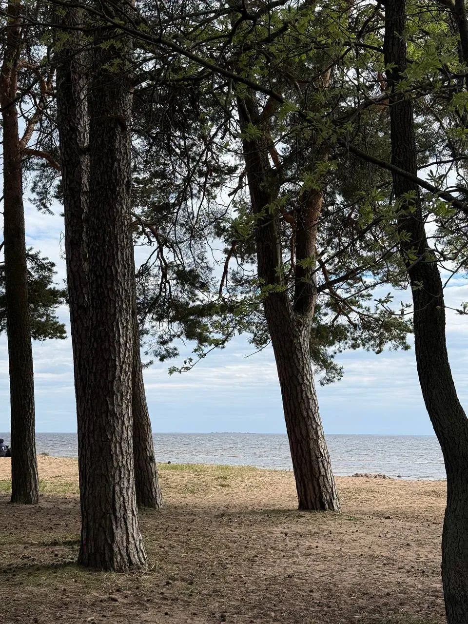 Съездили на плановое узи в Роддом, так приятно было вернуться🤍 Прям тепло от этого места) по традици