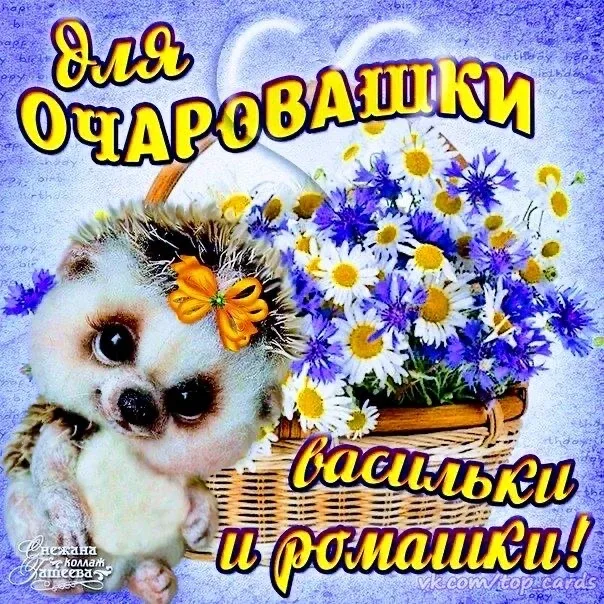 Список качественных каналов в МАХ | Подпишись!❤️
