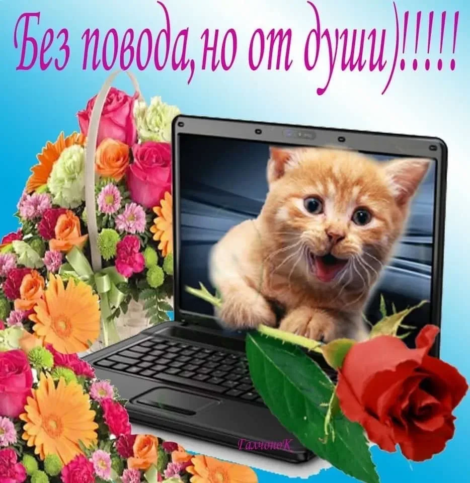 Список качественных каналов в МАХ | Подпишись!❤️