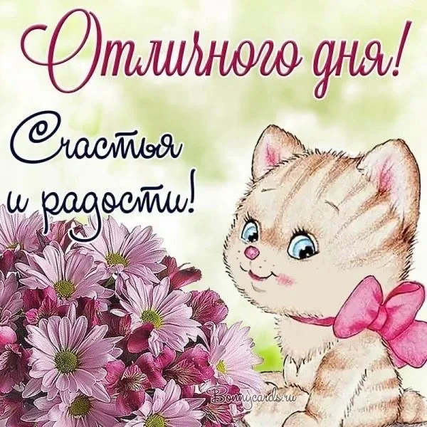 Список качественных каналов в МАХ | Подпишись!❤️