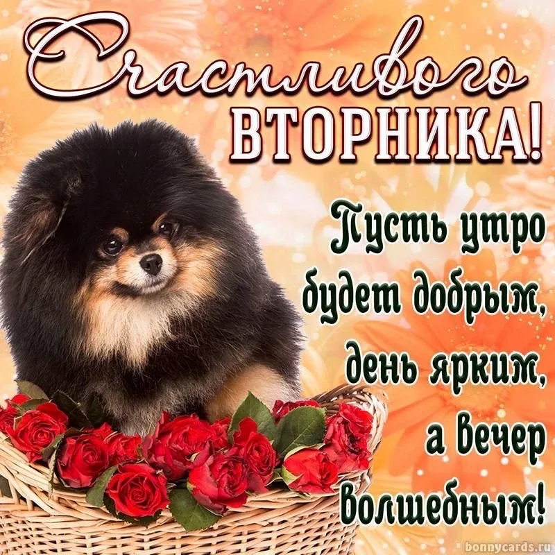 Список качественных каналов в МАХ | Подпишись!❤️