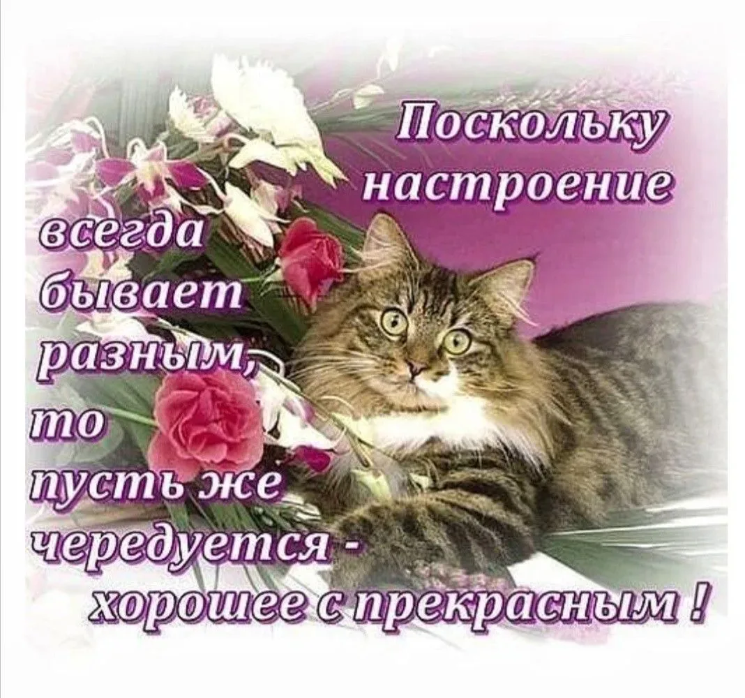 Список качественных каналов в МАХ | Подпишись!❤️