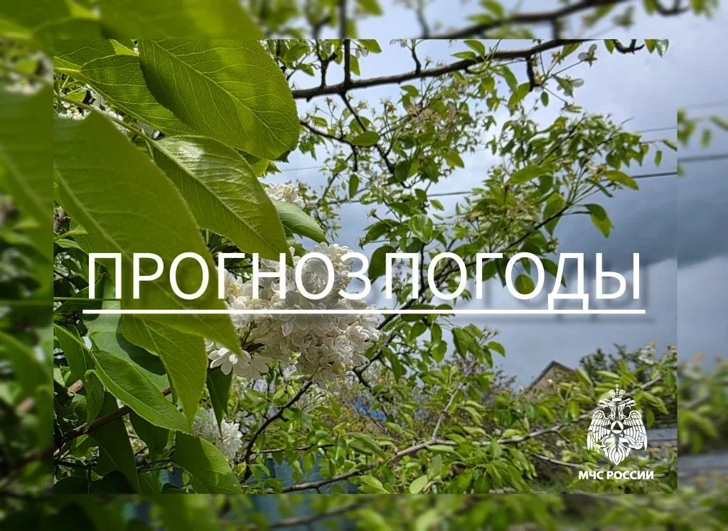 ⚡️⚡️⚡️⚡️ С 2 на 3 мая на территории Запорожской области ожидается:  🔔облачно с прояснениями. Без сущ