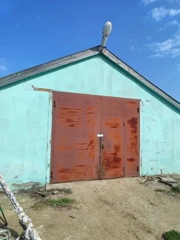 Приставы приостановили деятельность юрлица за нарушение миграционного законодательства  Юридическое 