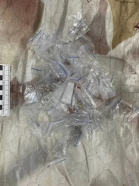В СЫКТЫВКАРЕ ПОЛИЦЕЙСКИЕ ЗАДЕРЖАЛИ ДВУХ ЗАКЛАДЧИКОВ НАРКОТИКОВ  Сотрудники Отдела по контролю за обо