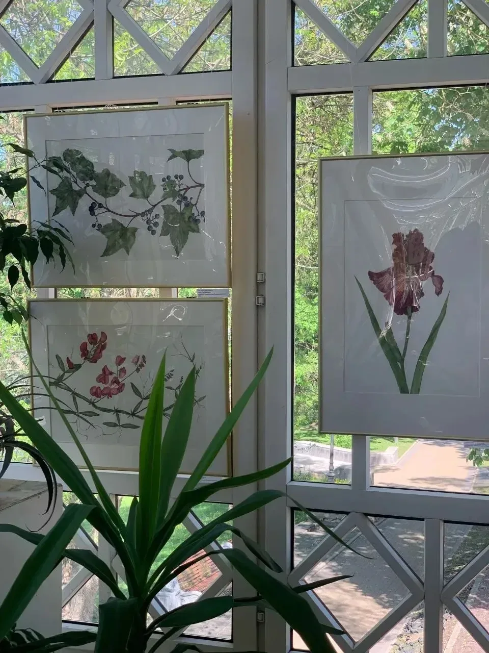 🌸🌸🌸Сегодняшний день для учеников 8 медицинского класса стал настоящим путешествием на стыке науки и 