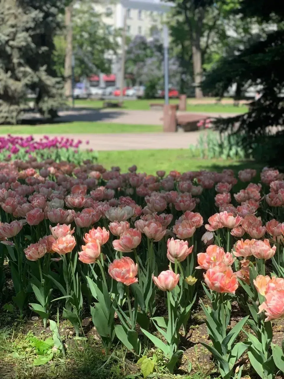 🌸🌸🌸Сегодняшний день для учеников 8 медицинского класса стал настоящим путешествием на стыке науки и 