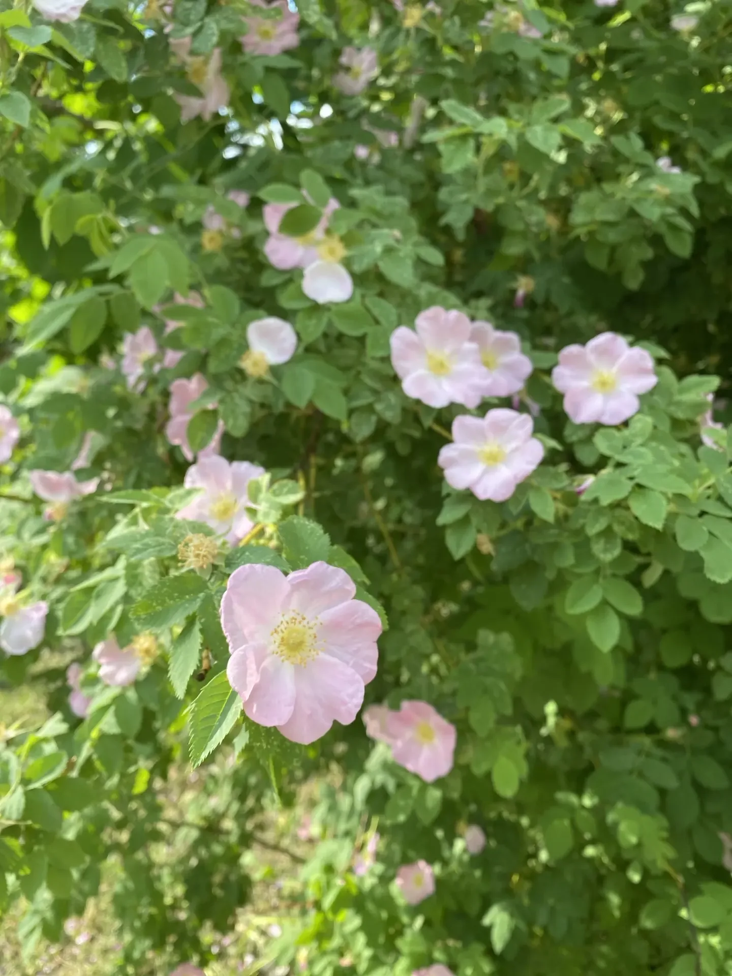 Красота вокруг 🌸