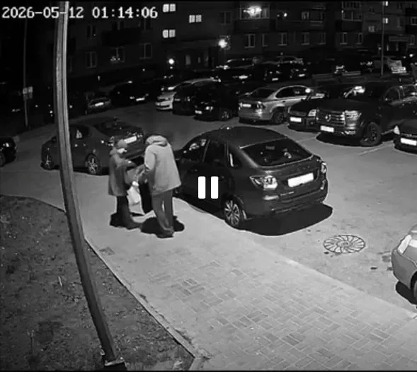Жители дома на Ижорского Батальона в Пскове «отвоевали» украденные кусты  Вчерашний сюжет об украден