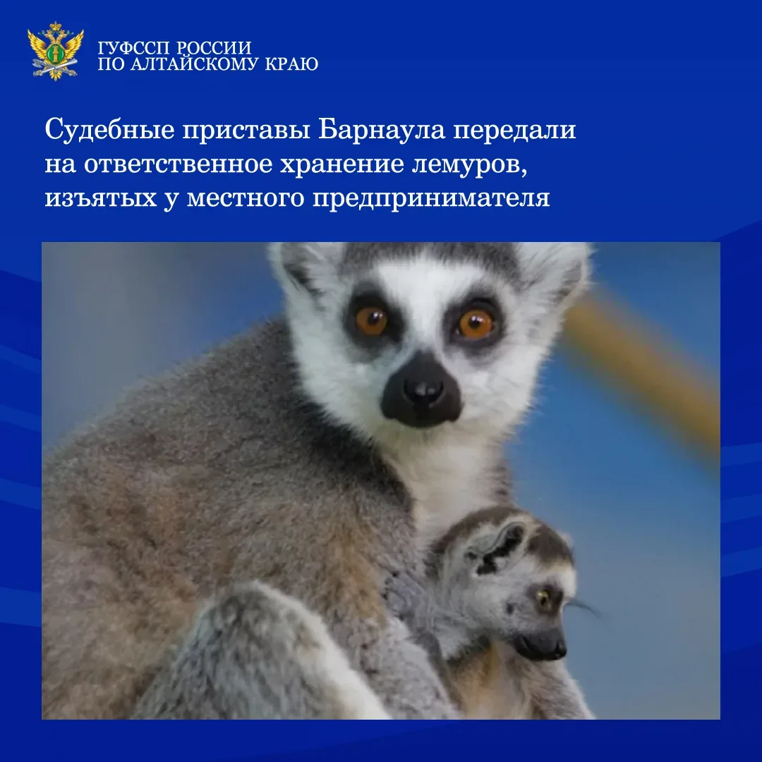 ⚡⚡Судебные приставы отделения судебных приставов Октябрьского района г. Барнаула ГУФССП России по Ал
