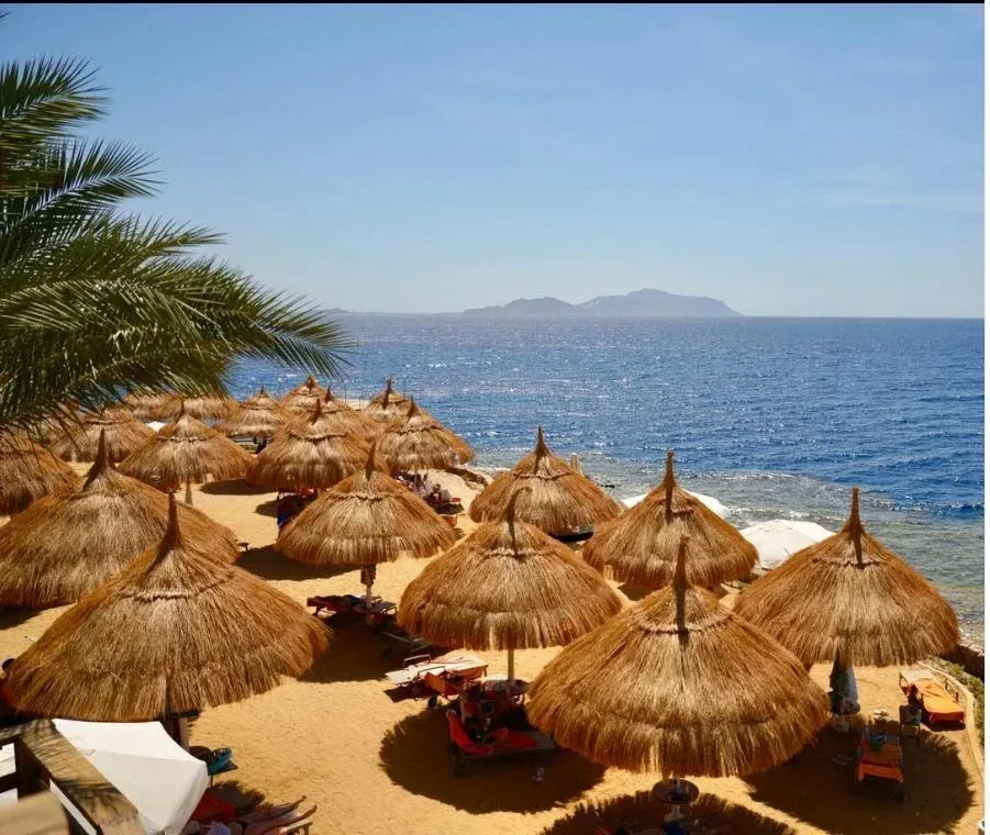 ЕГИПЕТ🔥 ШОК ЦЕНА  💌 122 000 на ДВОИХ ✈️ 27 мая 7 дней 🔆 Pickalbatros Luxury Suites 5*  🍓Все Включено