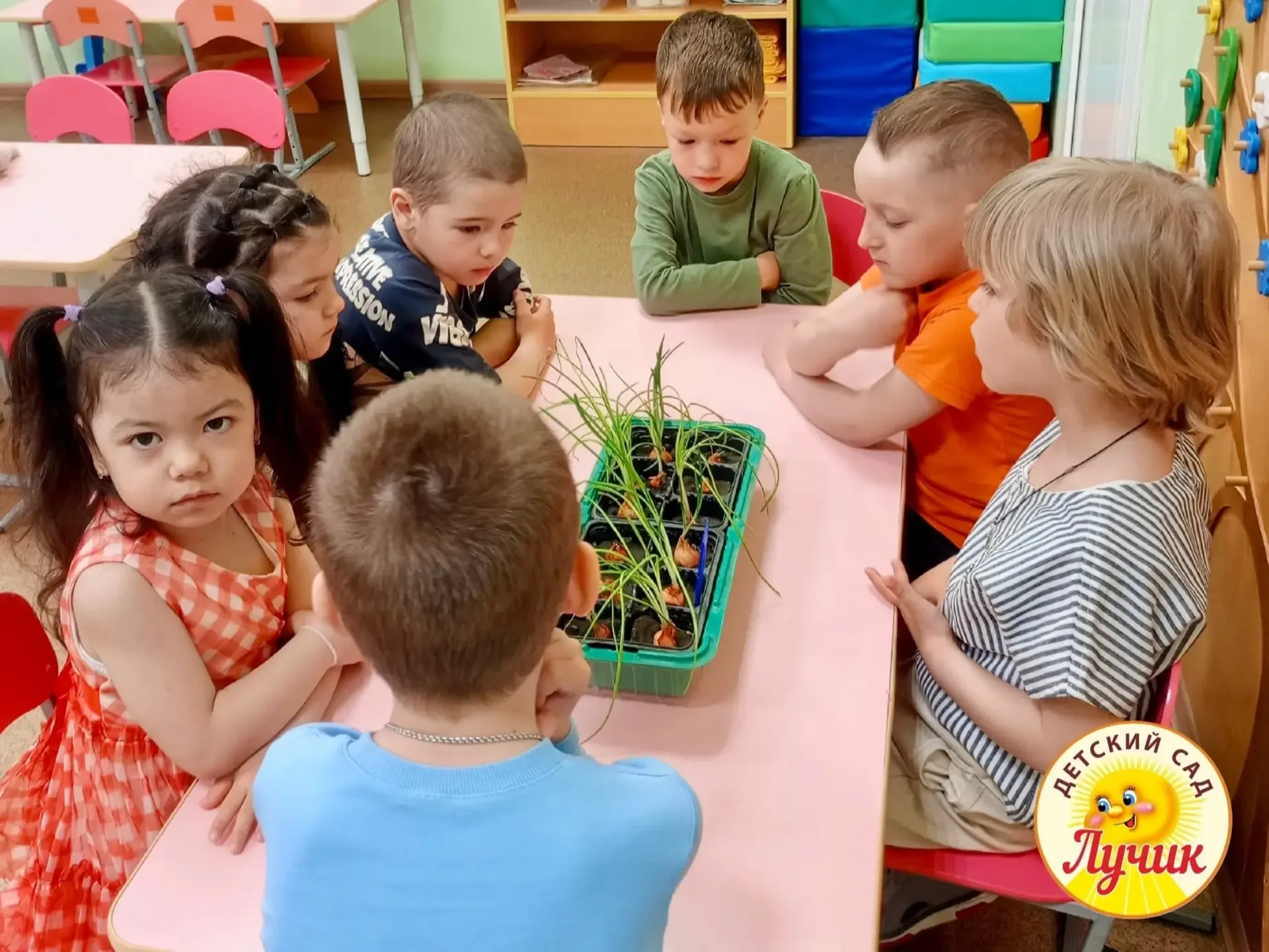 В наших дошкольных учреждениях Отрадненского района проходят яркие и познавательные занятия для малы