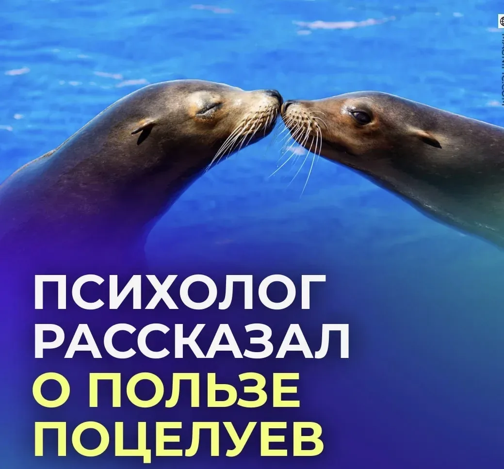 💋 Поцелуи помогают снизить тревожность.  Благодаря им вырабатываются гормоны счастья: дофамин, серот