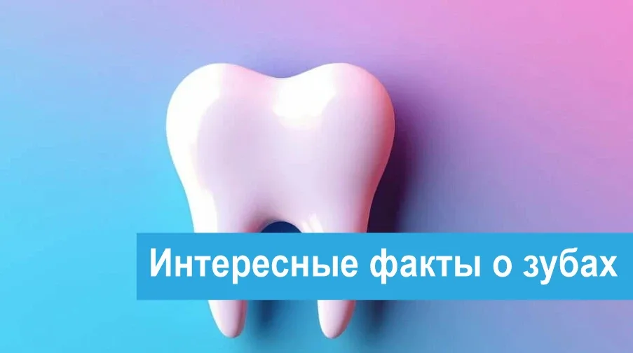 Факт на ночь. Твой зубной ряд уникален, как отпечатки пальцев.   Даже у однояйцевых близнецов форма,