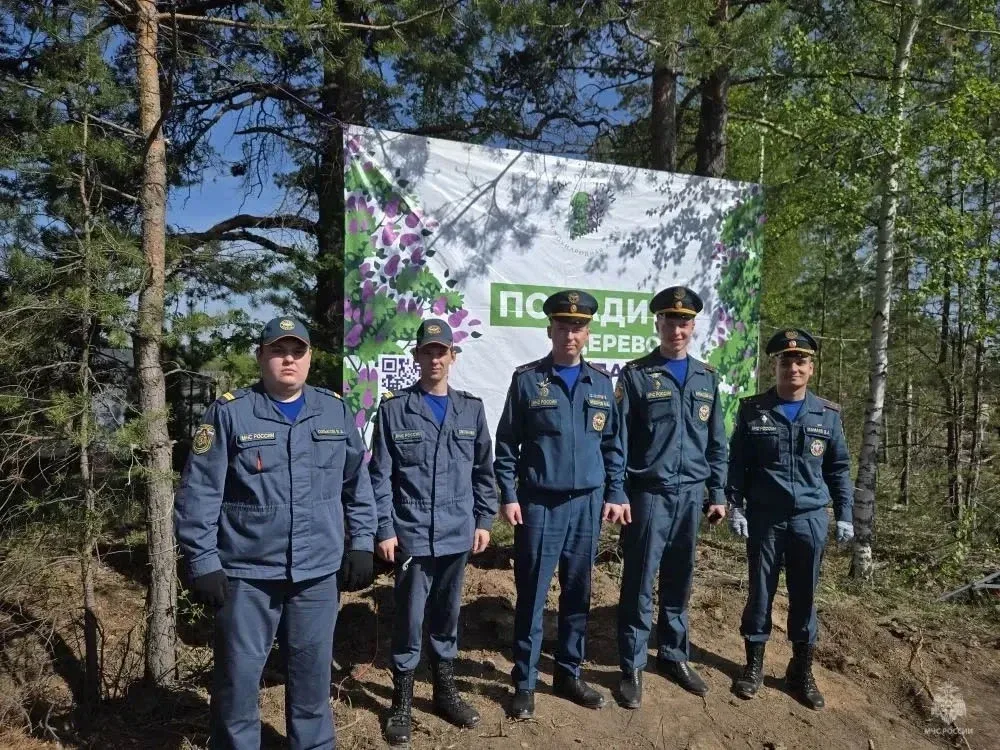 🌲 «Живая память»: сотрудники МЧС России присоединились к акции «Сад Памяти»  Руководство и личный со