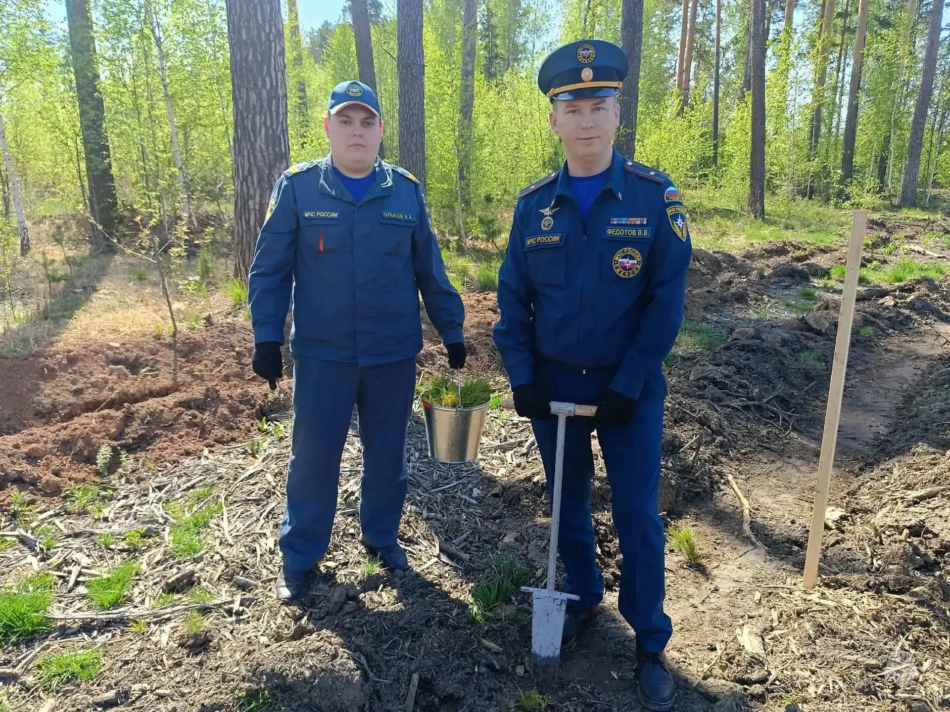 🌲 «Живая память»: сотрудники МЧС России присоединились к акции «Сад Памяти»  Руководство и личный со