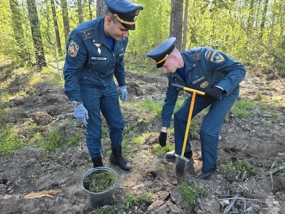 🌲 «Живая память»: сотрудники МЧС России присоединились к акции «Сад Памяти»  Руководство и личный со