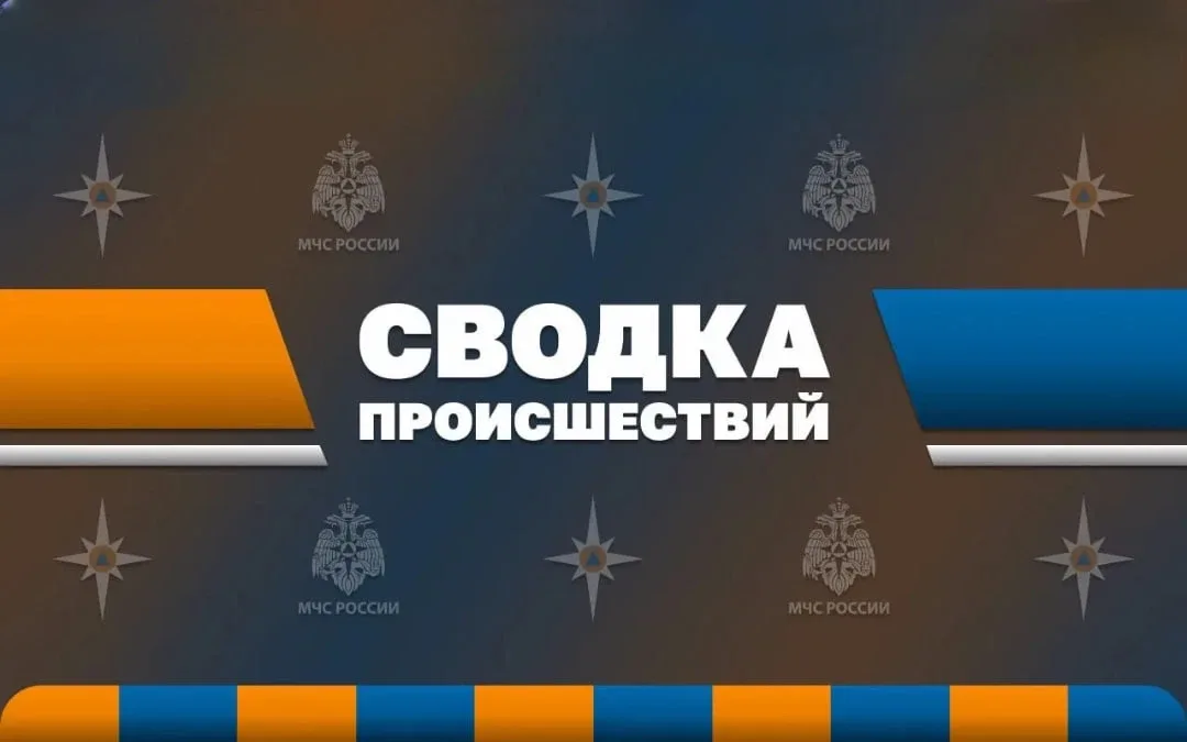 МЧС России: за прошедшие сутки ликвидированы 28 пожаров  Реагирование на ДТП: ✅ Спасатели МЧС России