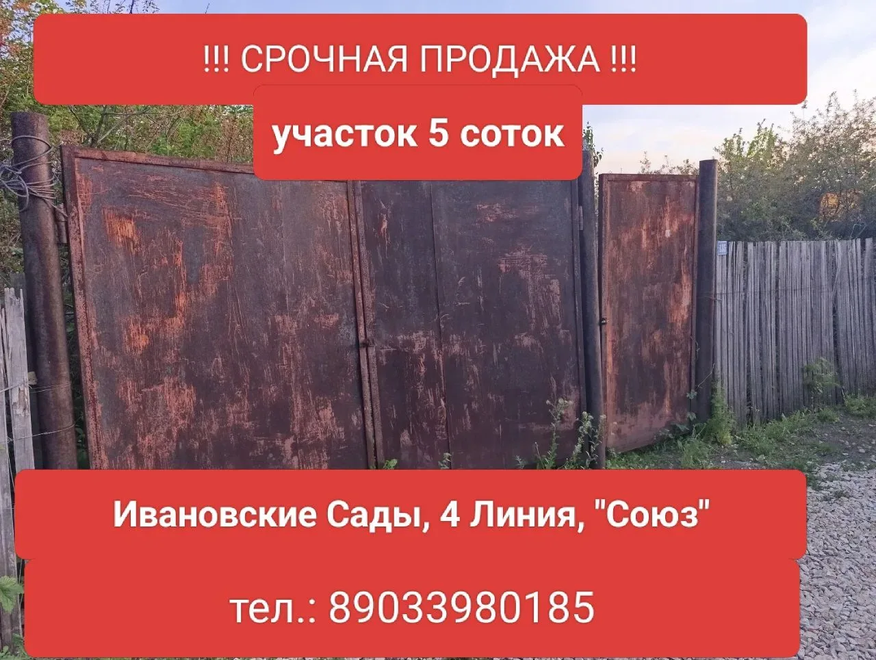 (без текста)