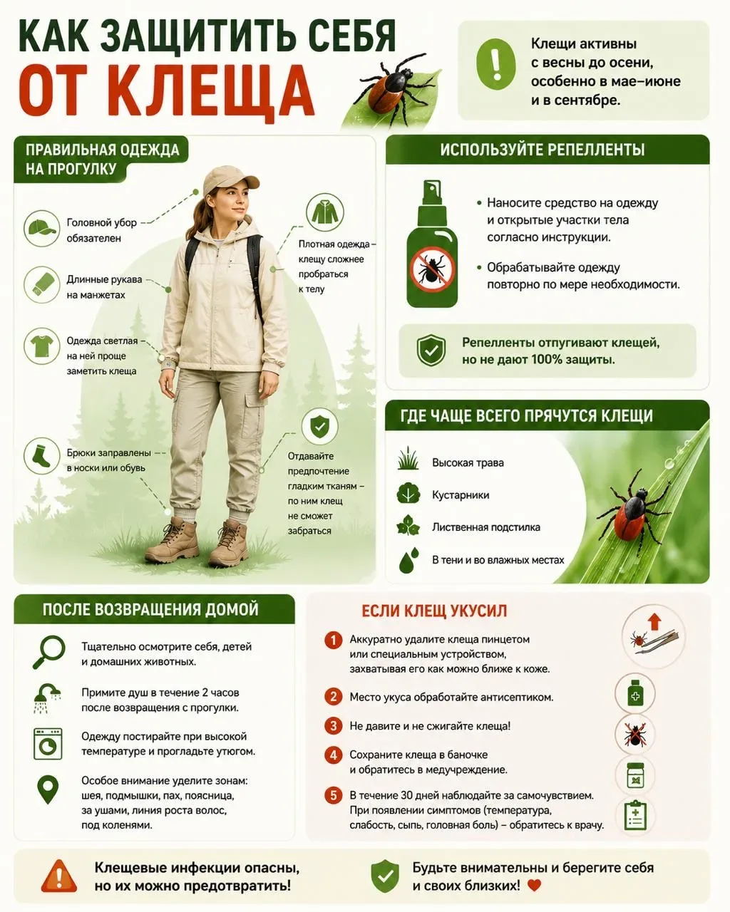Клещи продолжают охоту на липчан: пострадали уже 805 человек  В Липецкой области от укусов клещей по