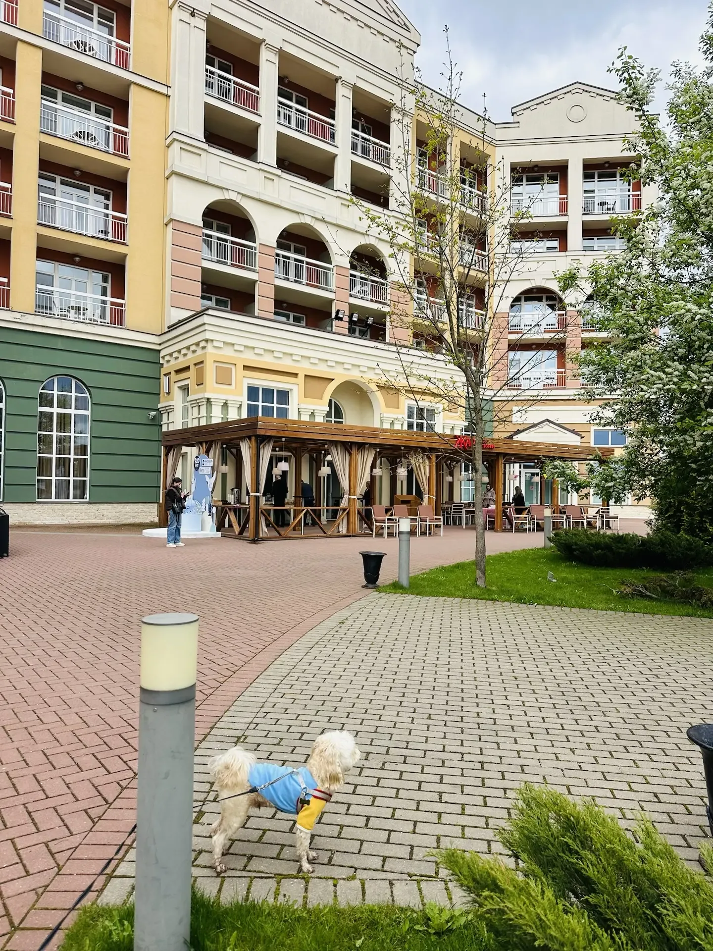 Когда путешествовать с собакой - одно удовольствие 🐶🥰  Остановились в Radisson Завидово в просторных