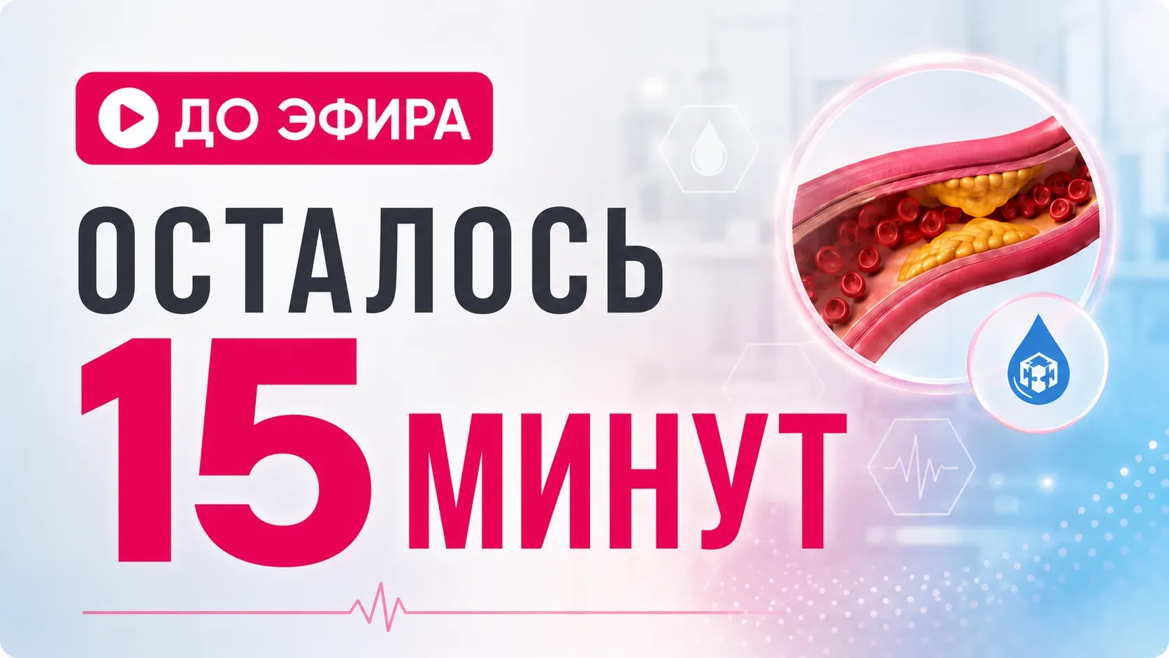 СТАРТУЕМ ЧЕРЕЗ 15 МИНУТ 🔥  Собираемся ТУТ 👉 https://gc.saxarvnorme.ru/ir_join_web