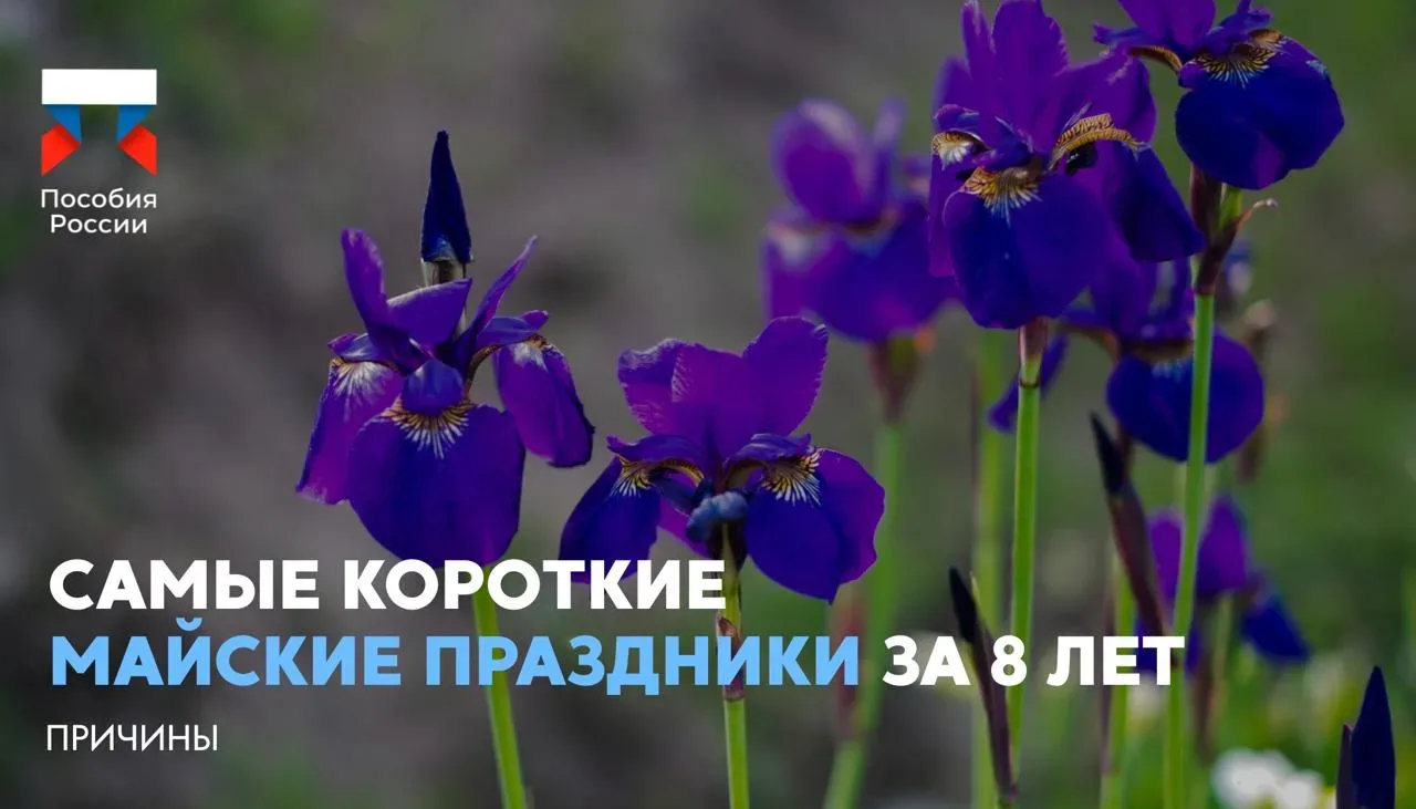 ⚡️ Самые короткие майские праздники за 8 лет  🔵 В 2026 году майские выходные будут состоять из двух 